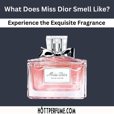 what notes are in miss dior perfume|what does Miss Dior perfume smell like.